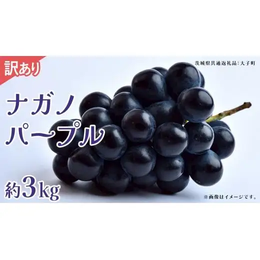【 訳あり 】ナガノパープル 3kg 【2026年9月上旬発送開始】(茨城県共通返礼品：大子町)