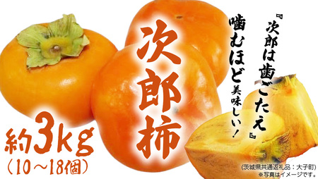 次郎柿 3kg 【2026年9月上旬発送開始】(茨城県共通返礼品：大子町)
