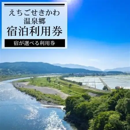 選ばれる温泉体験 60,000円分の温泉宿泊利用券【1711734】