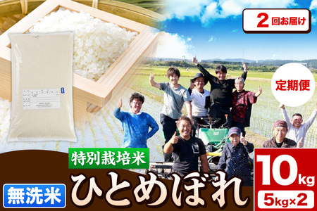 《定期便2ヶ月》令和7年産【無洗米】特別栽培米 ひとめぼれ 10kg（5kg×2袋）秋田県産 お米 米 こめ