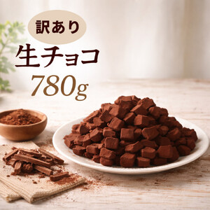訳あり 濃厚生チョコレート 約780g（割れ・不揃い） 冷凍便