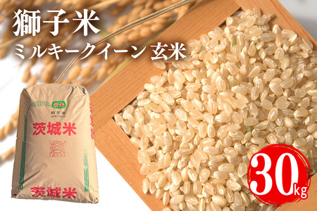先行予約【令和8年産】獅子米 ミルキークイーン（玄米）30kg B02-092