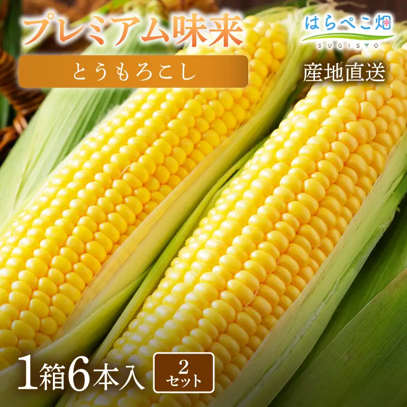 【感動の甘さ】とうもろこしプレミアム味来  6本入り／2箱・H075-18