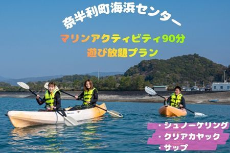 116024　マリンアクティビティ90分遊び放題プラン利用券（１名）マリンアクティビティ シュノーケリング アウトドア 海遊び 海 カヤック サップ SUP