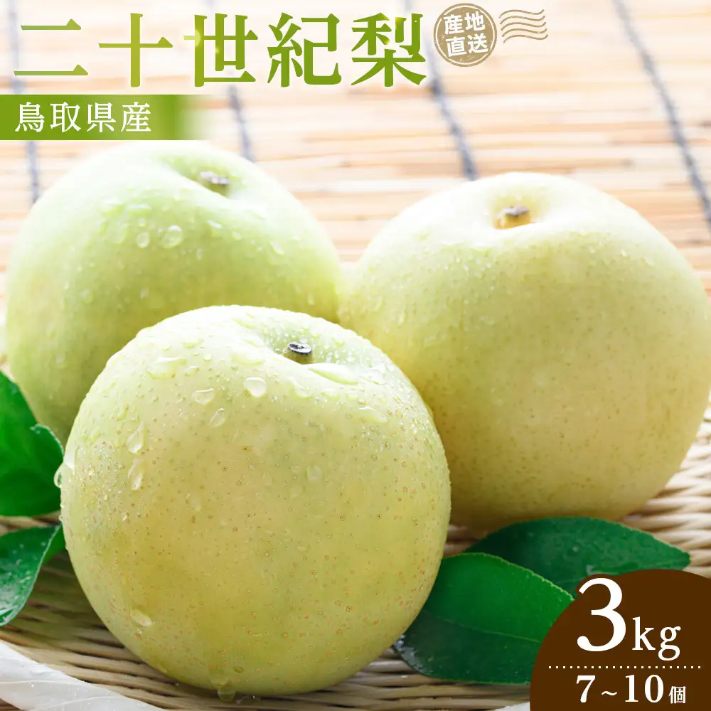 先行予約 二十世紀梨 3kg 2026年9月発送 梨