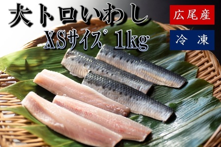 大トロいわし　フィレ　ＸＳサイズ　1kg【ハラール認証済み】（AM0005）