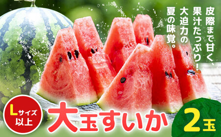 【先行予約】大玉すいか 2玉約10kg 日本フルーツ株式会社《4月下旬-7月下旬頃出荷》熊本県 菊池市 すいか スイカ 大玉 熊本県産