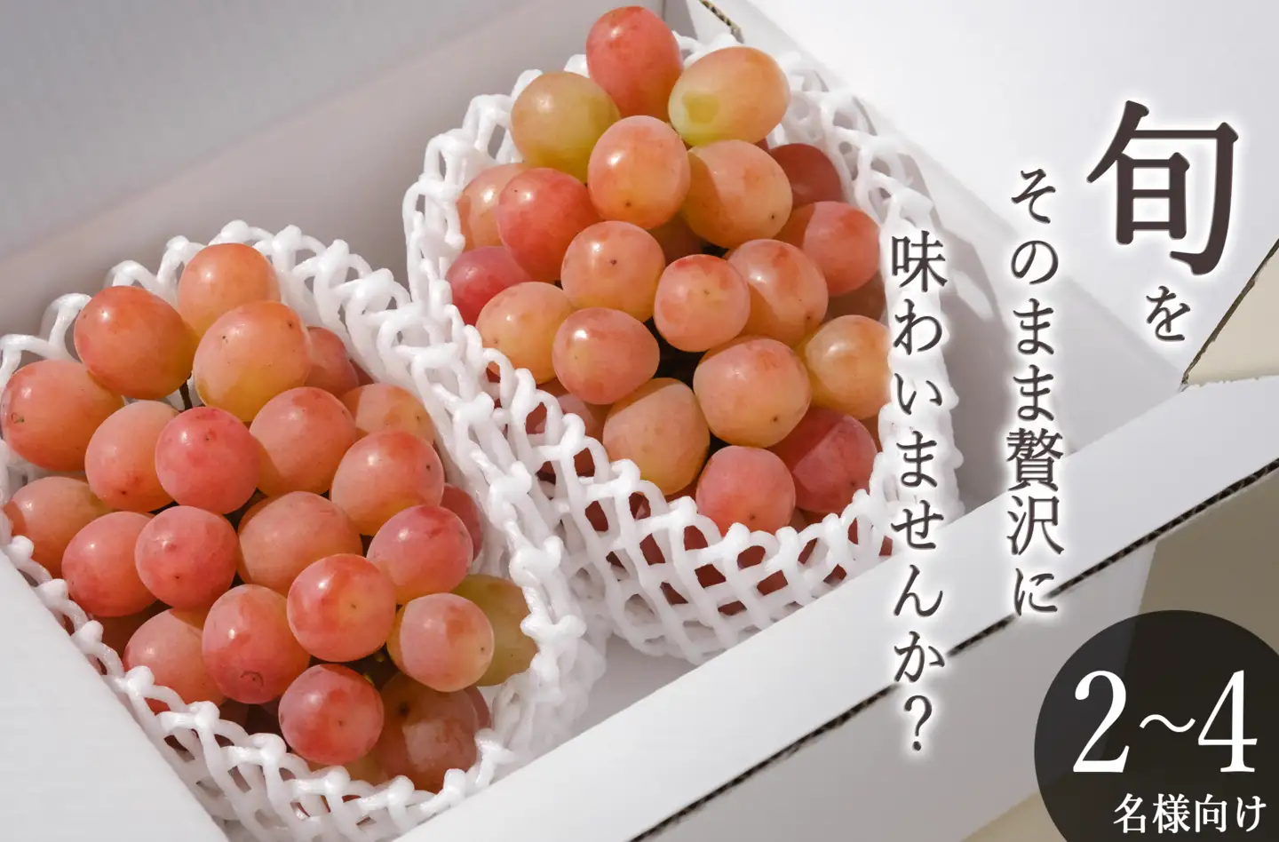 甲州市産 サンシャインレッド 2房入（約1.1kg）自然農法【2026年発送】（BNC）B16-425 サンシャインレッド フルーツ