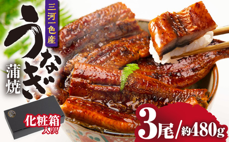 三河一色産うなぎ蒲焼 3尾（約480g）化粧箱入・O062