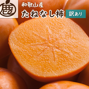 家庭用 たねなし柿 約10kg【AQ-ikd729】