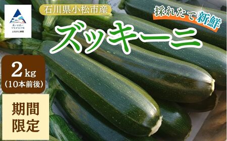 ズッキーニ 約2kg (10本前後)  | 石川県 小松市 JAあぐり