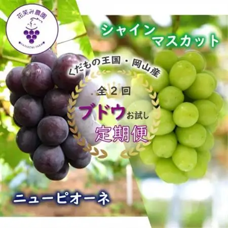 【発送月固定定期便】岡山　花笑み農園のピオーネ＆シャインお試し便(各1房・500g以上)全2回【配送不可地域：離島】【4082286】