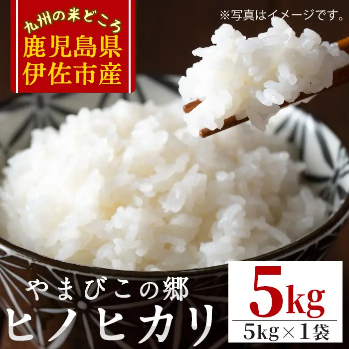 isa816 特別栽培ヒノヒカリ(5kg・5kg×1袋) 鹿児島 お米 米 白米 精米 伊佐米 ひのひかり 【やまびこの郷】