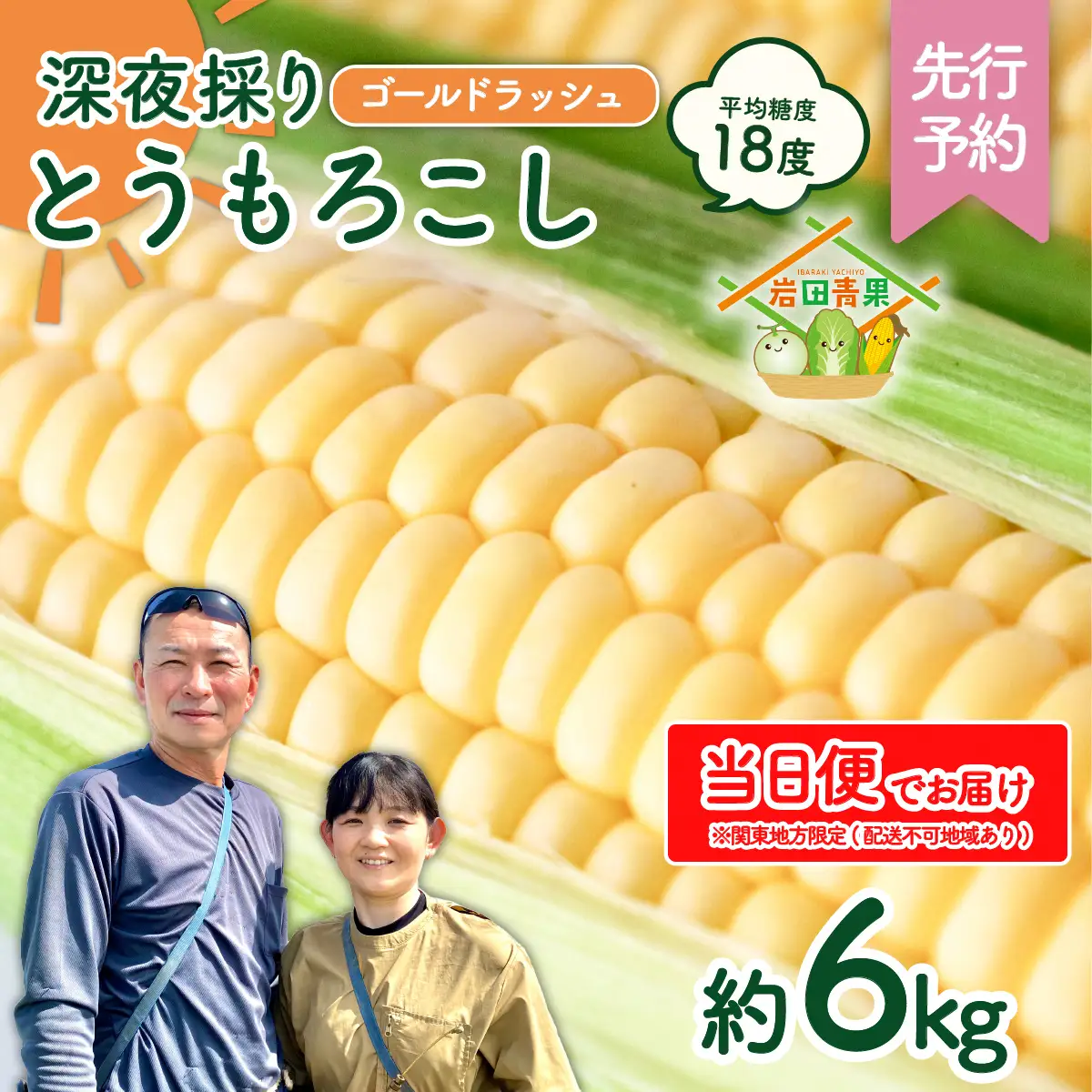 とうもろこし ゴールドラッシュ 6kg 茨城県産 トウモロコシ 深夜採り 当日便
