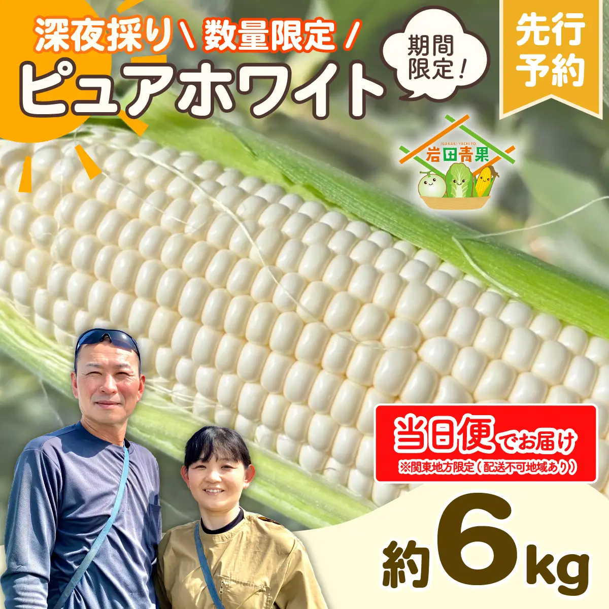 とうもろこし ピュアホワイト 6kg 茨城県産 トウモロコシ 深夜採り 当日便