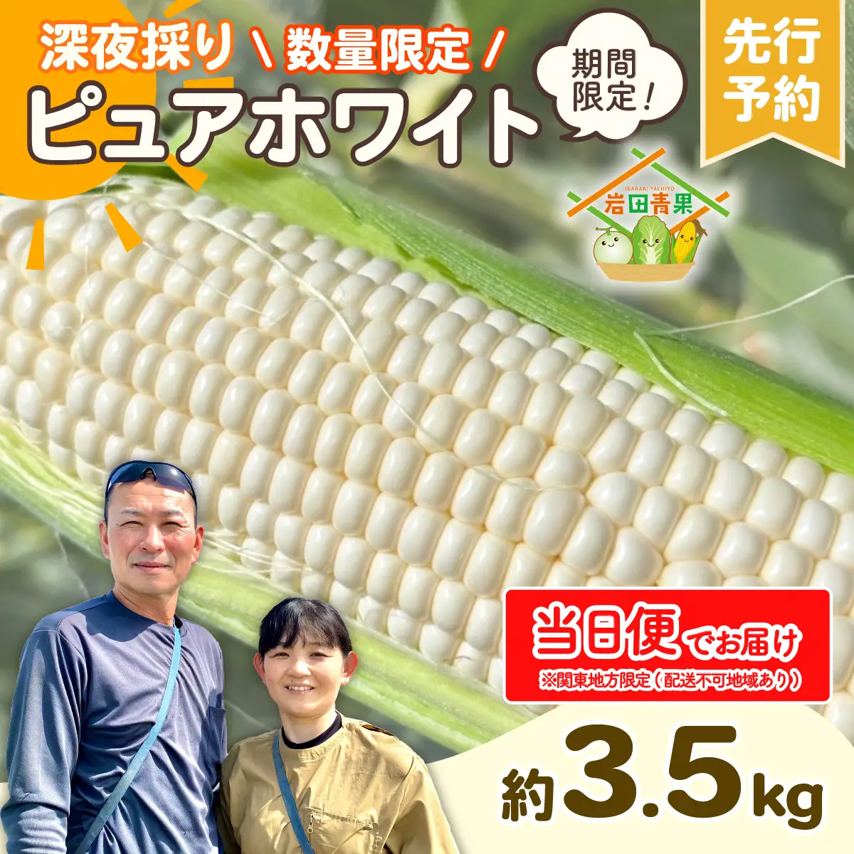 とうもろこし ピュアホワイト 3.5kg 茨城県産 トウモロコシ 深夜採り 当日便