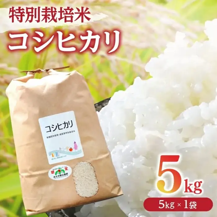 コシヒカリ 5kg 特別栽培米 精米 / 002309A