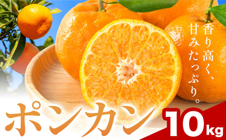 和歌山県産 ポンカン 10kg 中畑農園 ぽんかん 柑橘