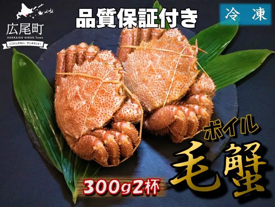 毛ガニ300g×2杯（冷凍茹で）【けがに　ケガニ　毛蟹　毛がに　カニ　太平洋　北海道　広尾町　冷凍　ボイル】（0100）