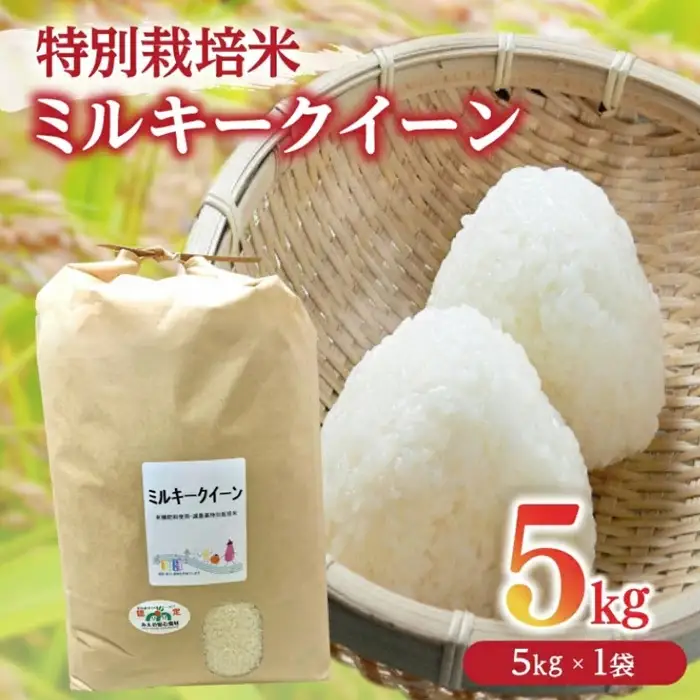 ミルキークイーン 5kg 特別栽培米 精米 / 002311A