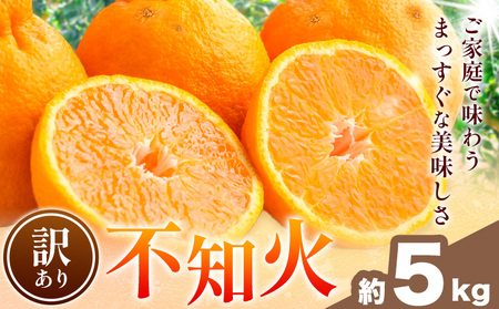 不知火 訳あり 5kg 中畑農園 しらぬい 柑橘