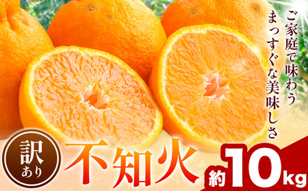 不知火 訳あり 10kg 中畑農園 しらぬい 柑橘