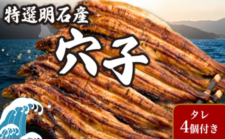 特選明石産炭焼き穴子（タレ4個付き） うなぎ 鰻 魚貝類 加工食品 