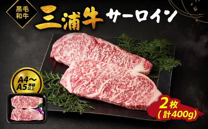 三浦牛サーロイン（400g） M082-003 肉 牛肉 冷凍