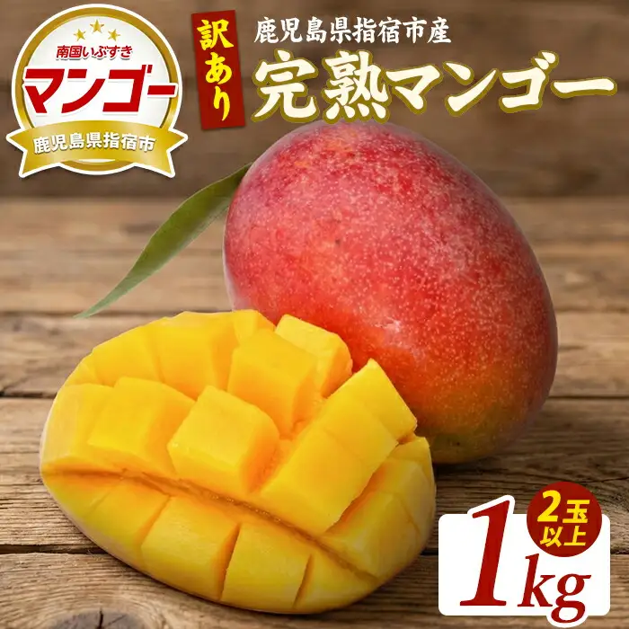 【2026年発送】【訳あり】鹿児島県指宿産 完熟マンゴー約1kg (室屋植物園/IB163-003) 訳あり ご家庭用 完熟 フルーツ 果物 果実 デザート スイーツ 南国