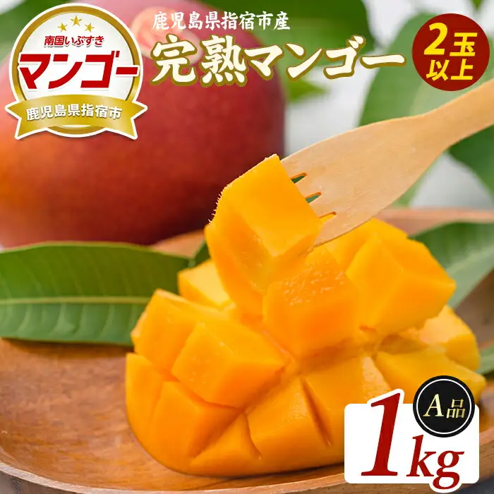 【2026年発送】鹿児島県指宿産 完熟マンゴー 約1kg (室屋植物園/IB163-001) 贈答用 完熟 フルーツ 果物 果実 デザート スイーツ 南国 化粧箱入