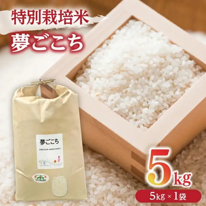 精米 5㎏ 夢ごこち 特別栽培米 / 002313A