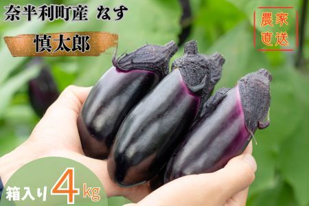 131002　奈半利町の茄子【慎太郎】4kg ナス なす 産地直送 野菜 箱入り 新鮮