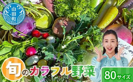 三陸山田産 カラフル 野菜 【2026年5月中旬～発送】 80サイズ ニンジン ピーマン トマト かぼちゃ じゃがいも ほうれん草 白菜 ニンニク 春菊 さつまいも 詰合せ お弁当 食卓 おかず 新鮮野菜 岩手県 三陸山田 山田町 山田産野菜  YD-1018