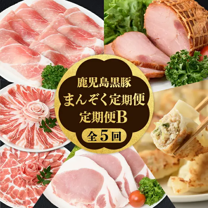 【D02007】＜定期便・全5回＞かごしま黒豚まんぞく定期便B (月1回×5ヶ月) 鹿児島 九州産 国産 肉 豚肉 黒豚 焼豚 肩ロース ロース モモ スライス 叉焼 餃子 ギョーザ ぎょうざ しゃぶしゃぶ とんかつ 加工品 セット 【和田養豚】