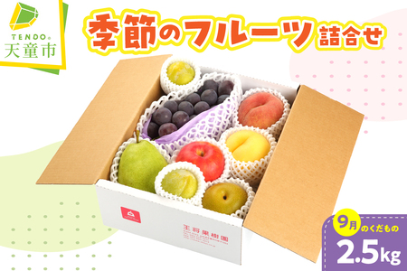季節 の フルーツ 詰合せ ( 9月分 ) 約 2.5kg 果物 山形 08-03-010