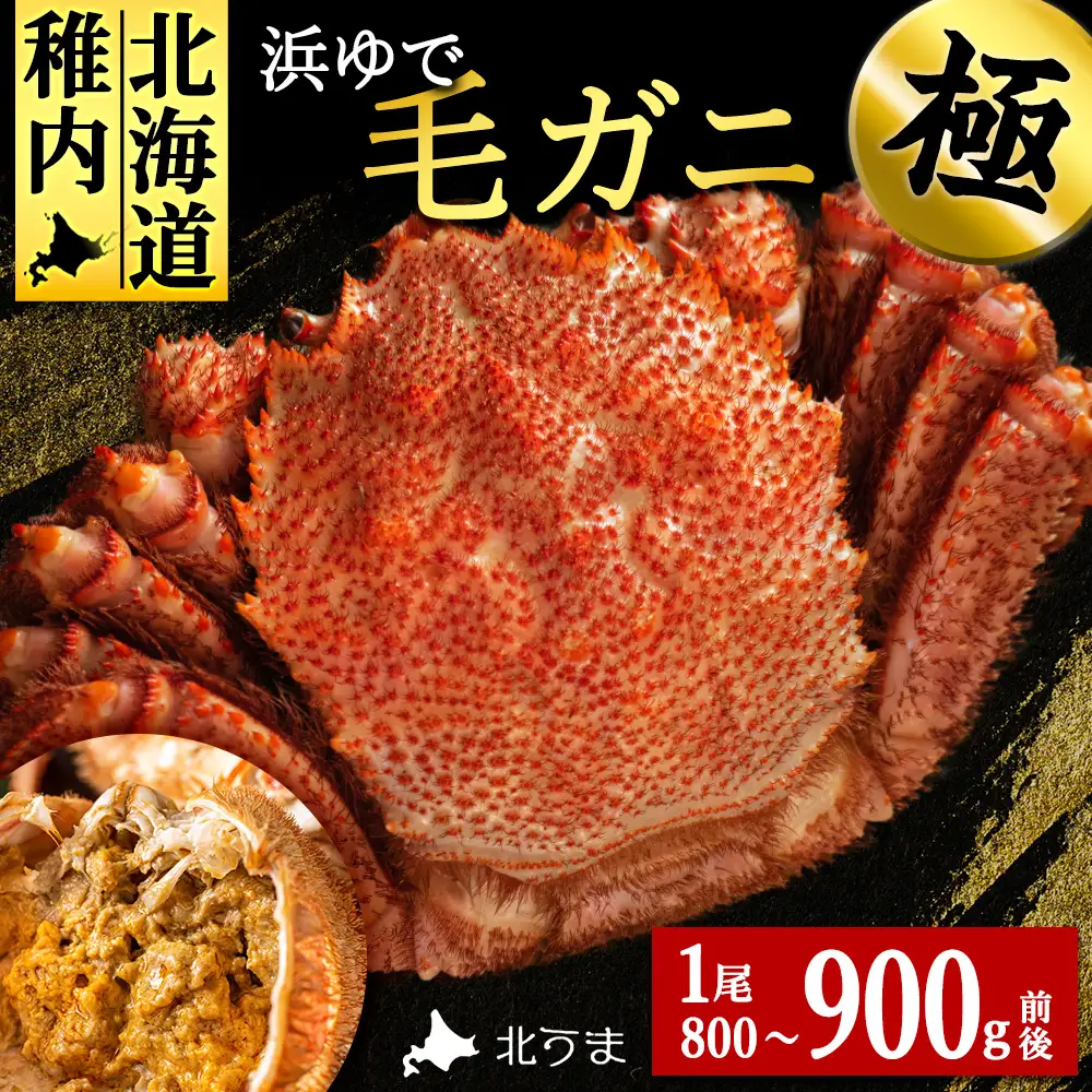 【稚内産・極】 浜ゆで毛ガニ(堅蟹) 800g～900ｇ×1尾KU139sku