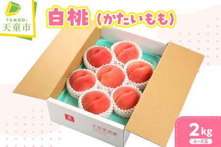 かたいもも ( 白桃 ) 2kg フルーツ 果物 山形 08-03-012