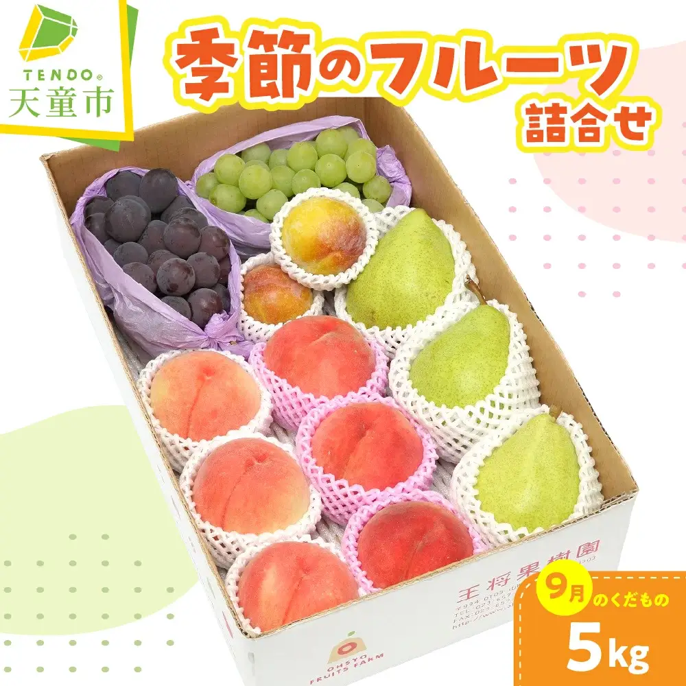 季節 の フルーツ 詰合せ 5kg 9月分 果物 山形 フルーツ