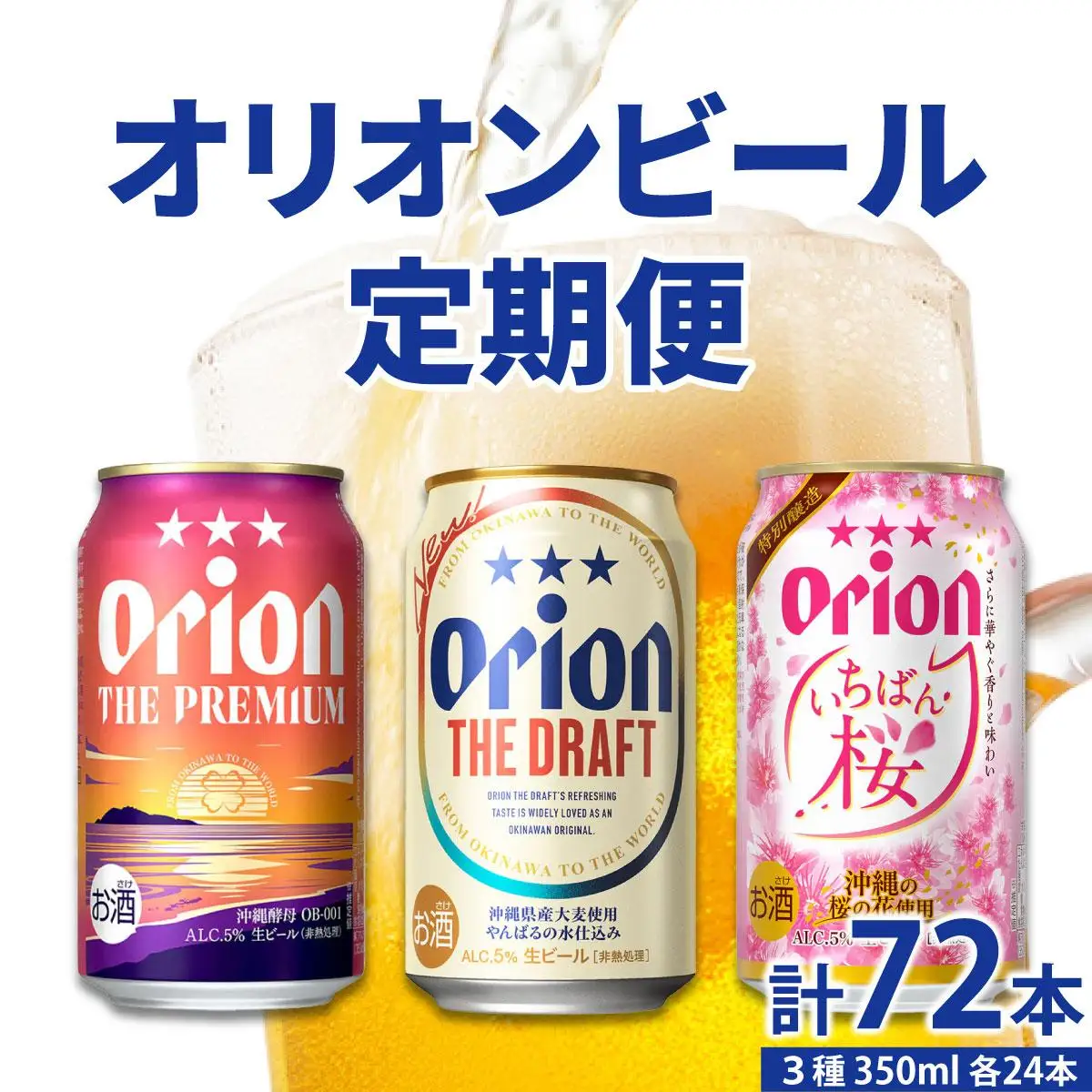 【年3回】オリオンビール 気軽に楽しむ！定期便