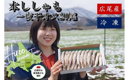 本ししゃも一夜干し特大オス20尾(0032)
