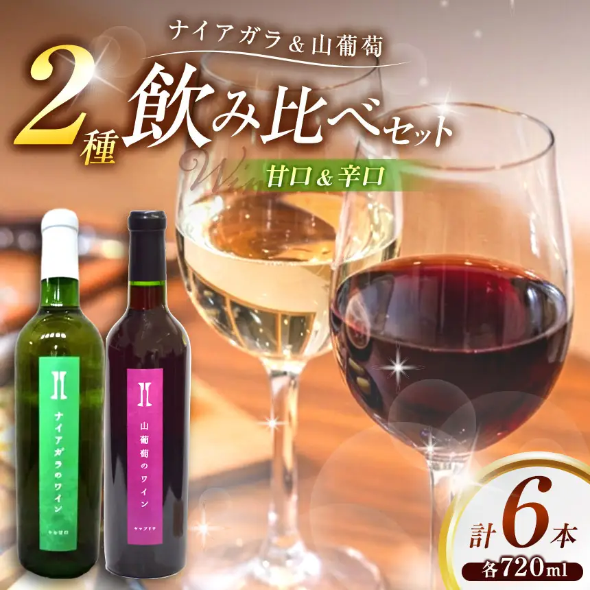伊那ワイン工房 ワイン６本セット（ナイアガラと山葡萄のワイン）【041-05】