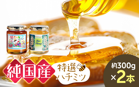芳川養蜂場特選ハチミツ2本 | ハチミツ はちみつ 蜂蜜 国産 長野県 信州 木島平村