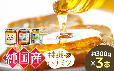 芳川養蜂場特選ハチミツ3本（芳川養蜂場） | ハチミツ はちみつ 蜂蜜 国産 長野県 信州 木島平村