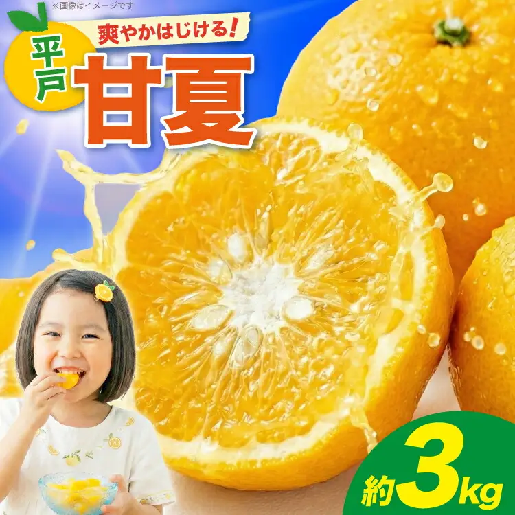 【期間限定発送】 みかん 甘夏 約3kg 6個前後 [ひらど新鮮市場 長崎県 平戸市 hr42bgy400228]
