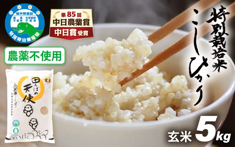 【中日賞受賞】農薬不使用 特別栽培米コシヒカリ5kg【玄米】福井県認証区分1取得「田んぼの天使」 [e10-b007]