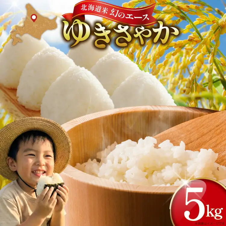 米 ゆきさやか 5キロ [笹田ファーム 北海道 剣淵町 14656370]