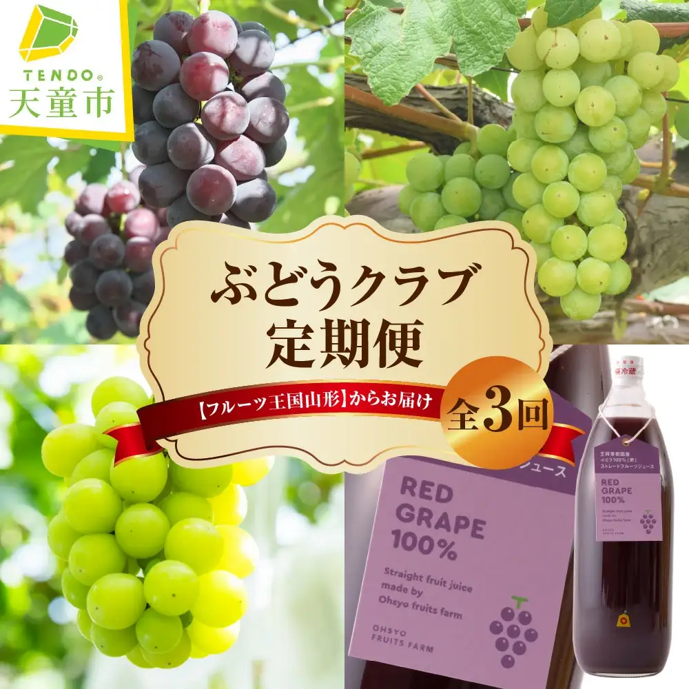 ぶどう クラブ 定期便 全3回 フルーツ 果物 山形 フルーツ定期便