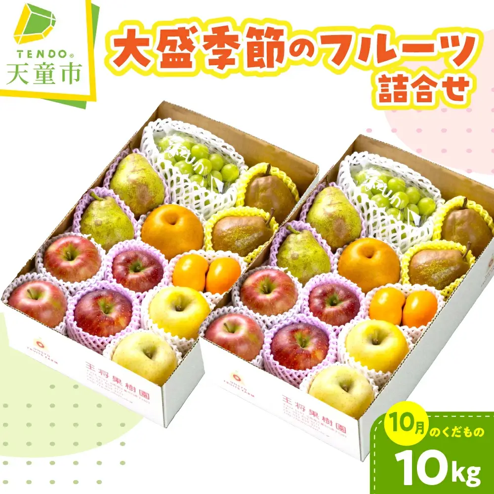 大盛 季節の フルーツ 詰合せ 10月分 10kg フルーツ 果物 山形