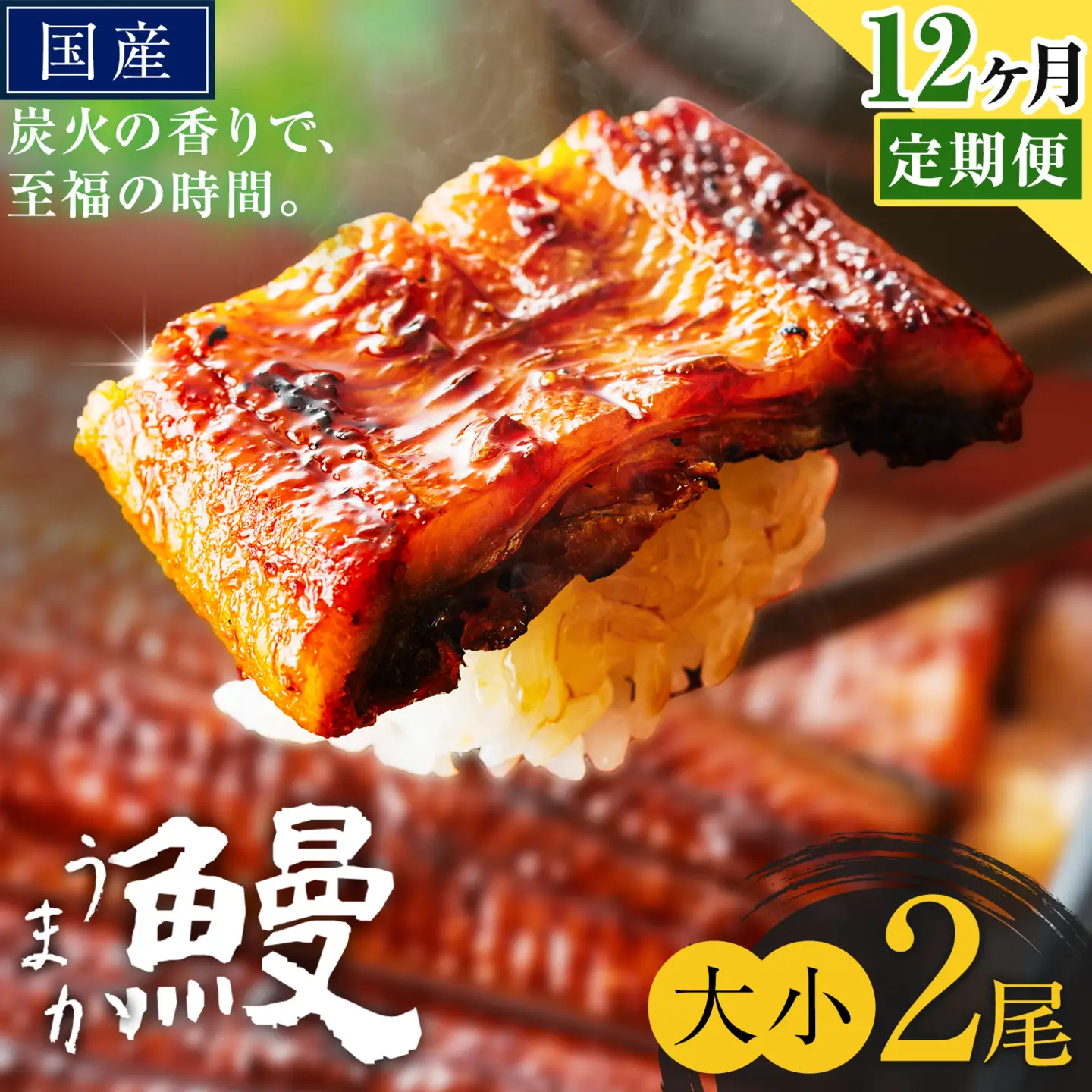 【12ヶ月定期便】うなぎ 大小 2尾  国産 鰻 真空パック おすすめ うなぎの蒲焼 《お申込み翌月から出荷》 ふるさとのうぜい 特上 簡易包装 ウナギ unagi 蒲焼 秋 冬 旬 配送時期 冷凍
