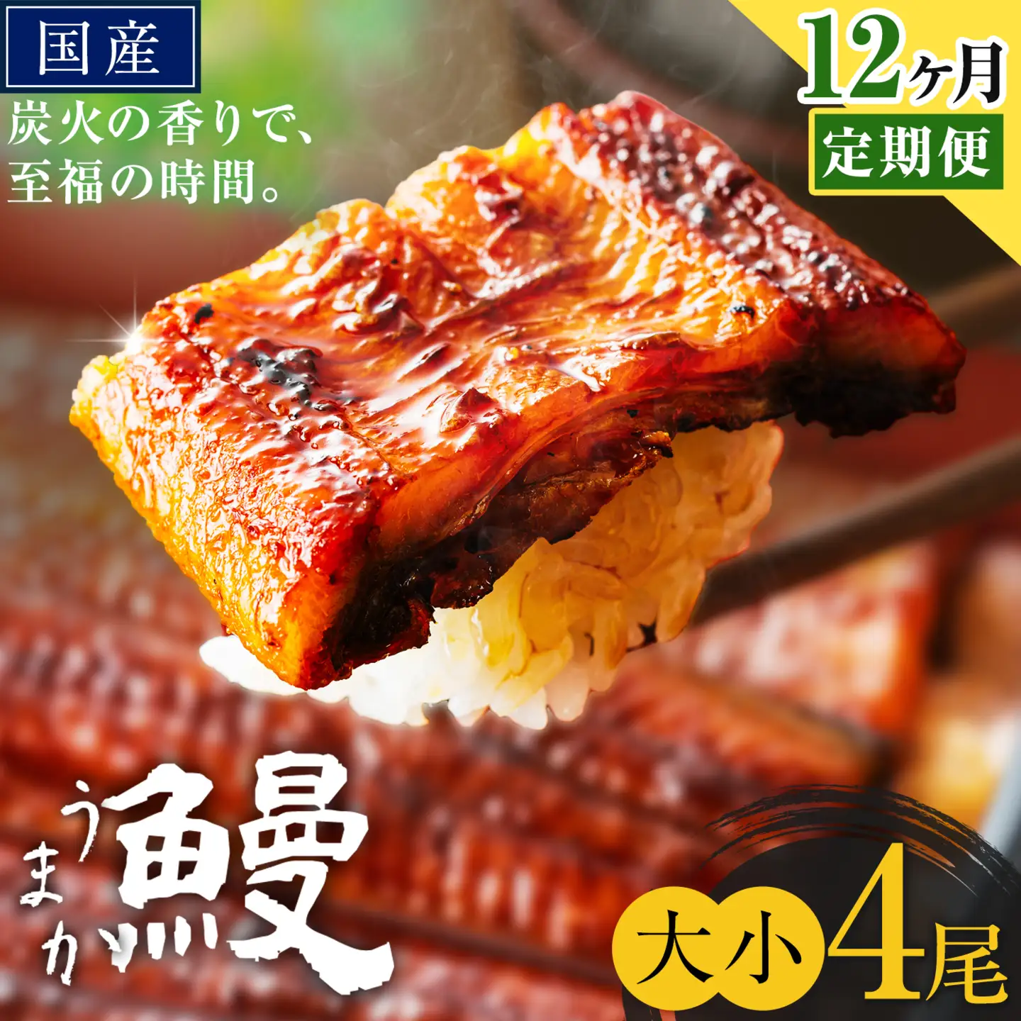 【12ヶ月定期便】うなぎ 大小 4尾  国産 鰻 真空パック おすすめ うなぎの蒲焼 《お申込み翌月から出荷》 ふるさとのうぜい 特上 簡易包装 ウナギ unagi 蒲焼 秋 冬 旬 配送時期 冷凍
